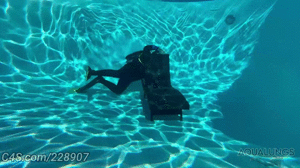 aqualungs50.com - Dive Buddies Only Surface Together thumbnail